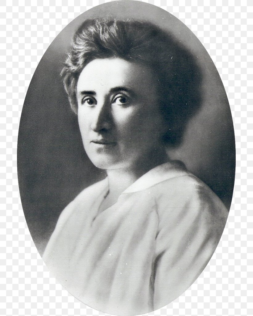 Rosa Luxemburg And The Struggle For Democratic Renewal Karl Liebknecht Socialism Marxism, PNG, 709x1024px, Rosa Luxemburg, Black And White, Book, Clara Zetkin, Germany Download Free