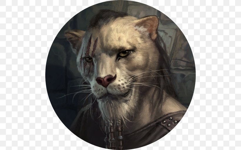 The Elder Scrolls: Legends Whiskers Cat Narrator Minecraft: Story Mode, PNG, 512x512px, Elder Scrolls Legends, Big Cat, Big Cats, Carnivoran, Cat Download Free