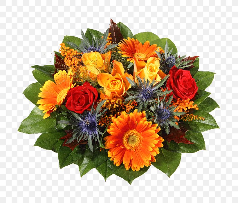 Transvaal Daisy Cut Flowers Flower Bouquet Blumenversand, PNG, 700x700px, Transvaal Daisy, Annual Plant, Blume, Blumenversand, Cut Flowers Download Free