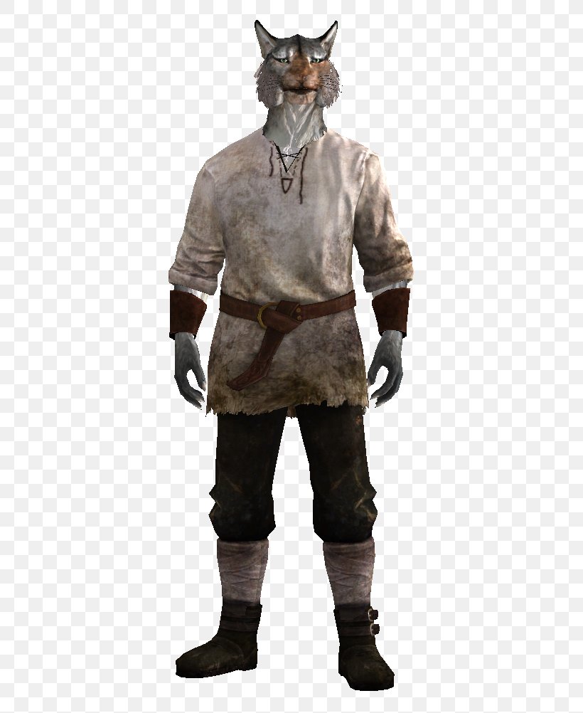 Video Games Outerwear, PNG, 392x1002px, Video Games, Action Figure, Assassins Creed, Costume, Elder Scrolls Download Free