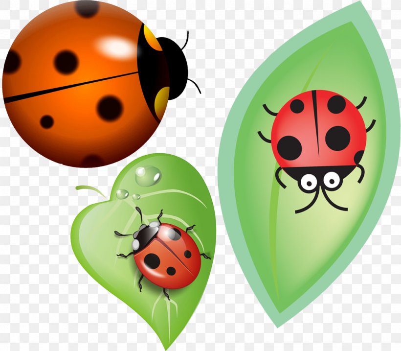 Beneficial Insects Ladybird Coccinella Septempunctata, PNG, 1024x896px, Insect, Antenna, Beetle, Beneficial Insects, Cartoon Download Free