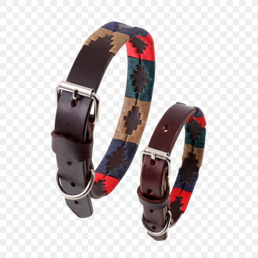 Dog Collar Belt Leash, PNG, 892x892px, Dog, Belt, Coat, Collar, Dog Collar Download Free