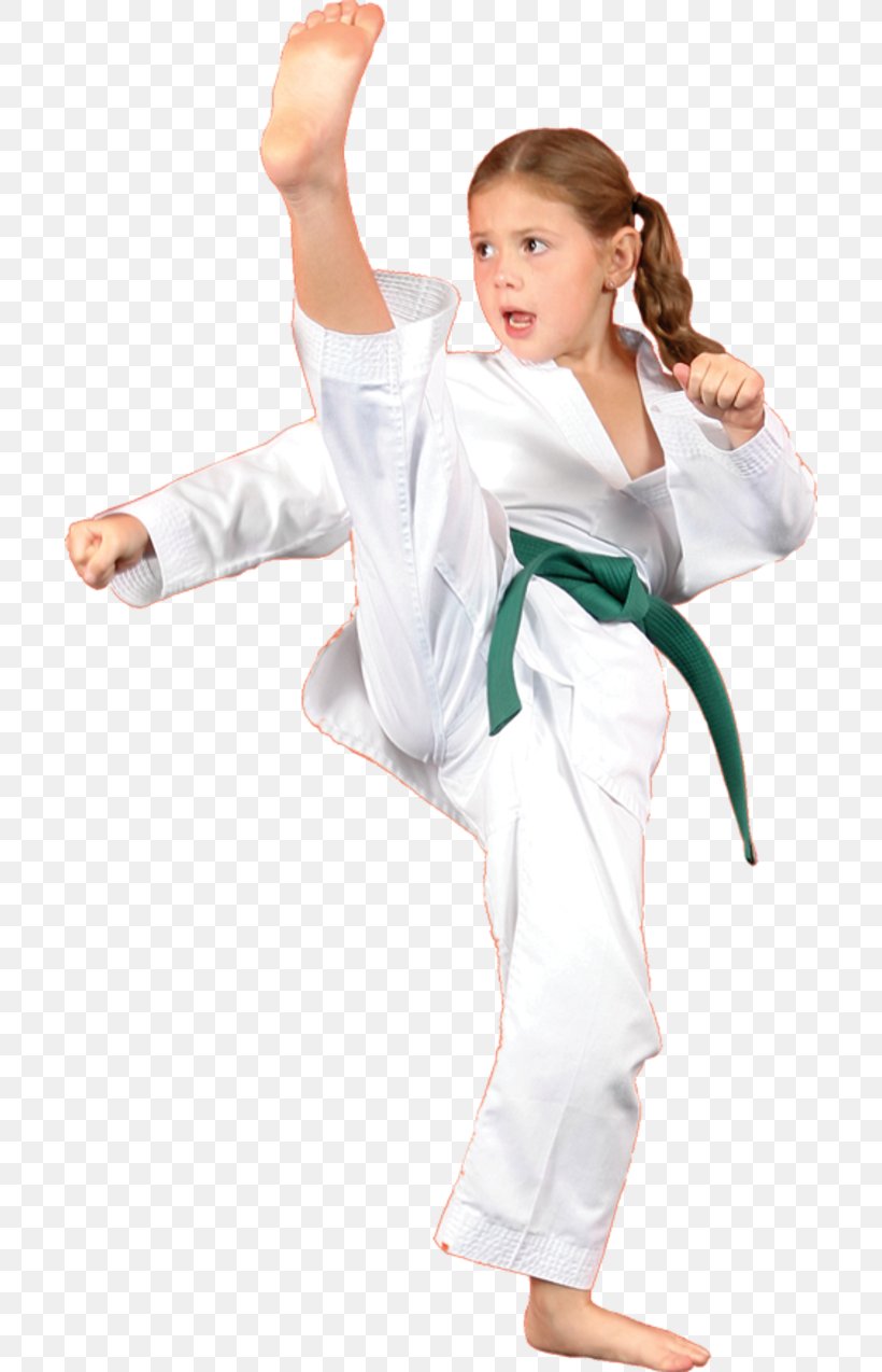 Karate Kick Martial Arts Dobok Jujutsu, PNG, 700x1274px, Watercolor, Cartoon, Flower, Frame, Heart Download Free