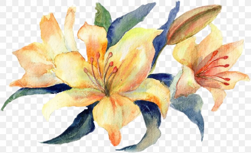Watercolour Flowers Watercolor Painting Stock Photography Lilium, PNG, 1206x739px, Watercolour Flowers, Amaryllis Belladonna, Art, Canna Family, Canna Lily Download Free