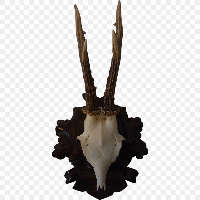 Deer Trophy Hunting Horn, PNG, 1717x1717px, Deer, Antelope, Antler, Horn, Hunting Download Free