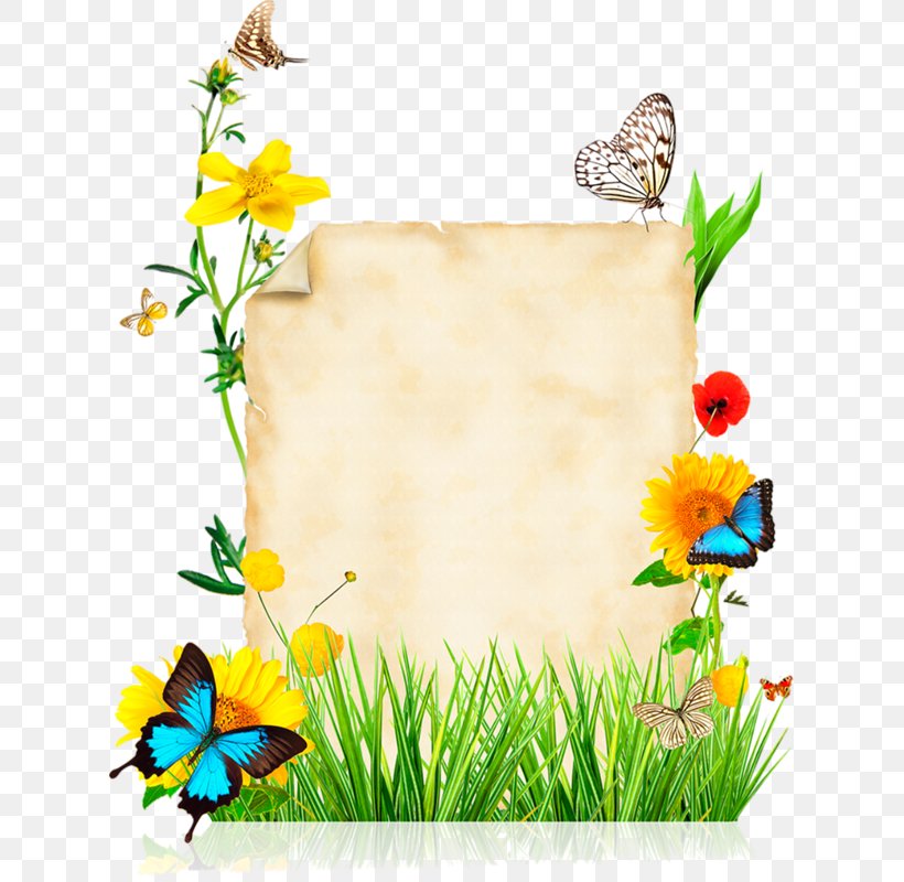 Flower Stock Photography Best Borders Clip Art, PNG, 621x800px, Flower, Best Borders, Butterfly, Color, Flora Download Free
