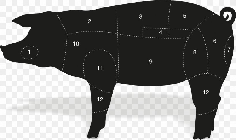 Pig Cattle Horse, PNG, 1024x608px, Pig, Black, Black And White, Black M, Cattle Download Free