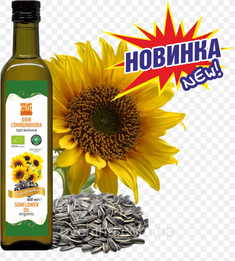 Sunflower Seed Vegetable Oil Common Sunflower Grist, PNG, 1152x1280px, Sunflower Seed, Common Sunflower, Cooking Oil, Cooking Oils, Cuisine Download Free