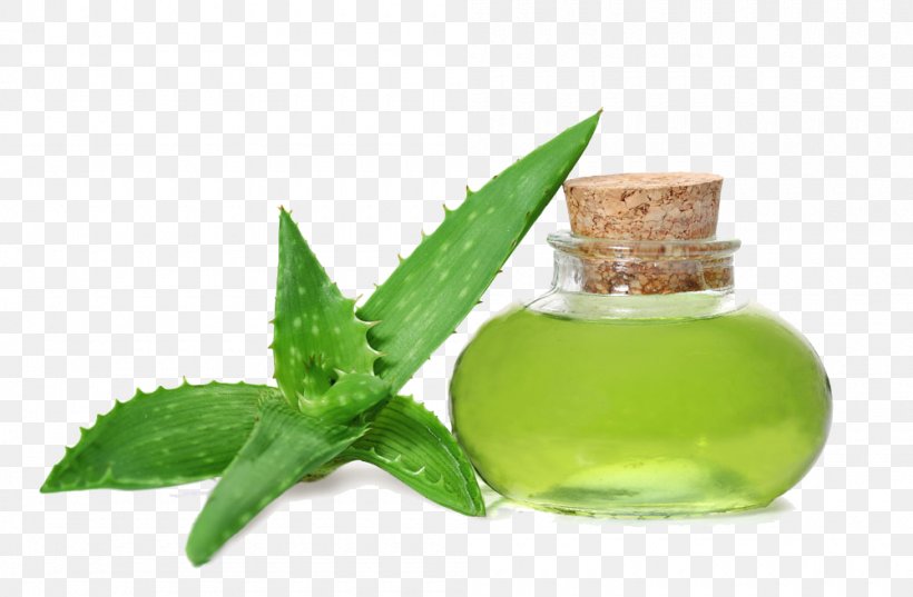 Aloe Vera Gel Oil Skin Care Health, PNG, 1000x656px, Aloe Vera, Aloe, Aloin, Alternative Medicine, Gel Download Free