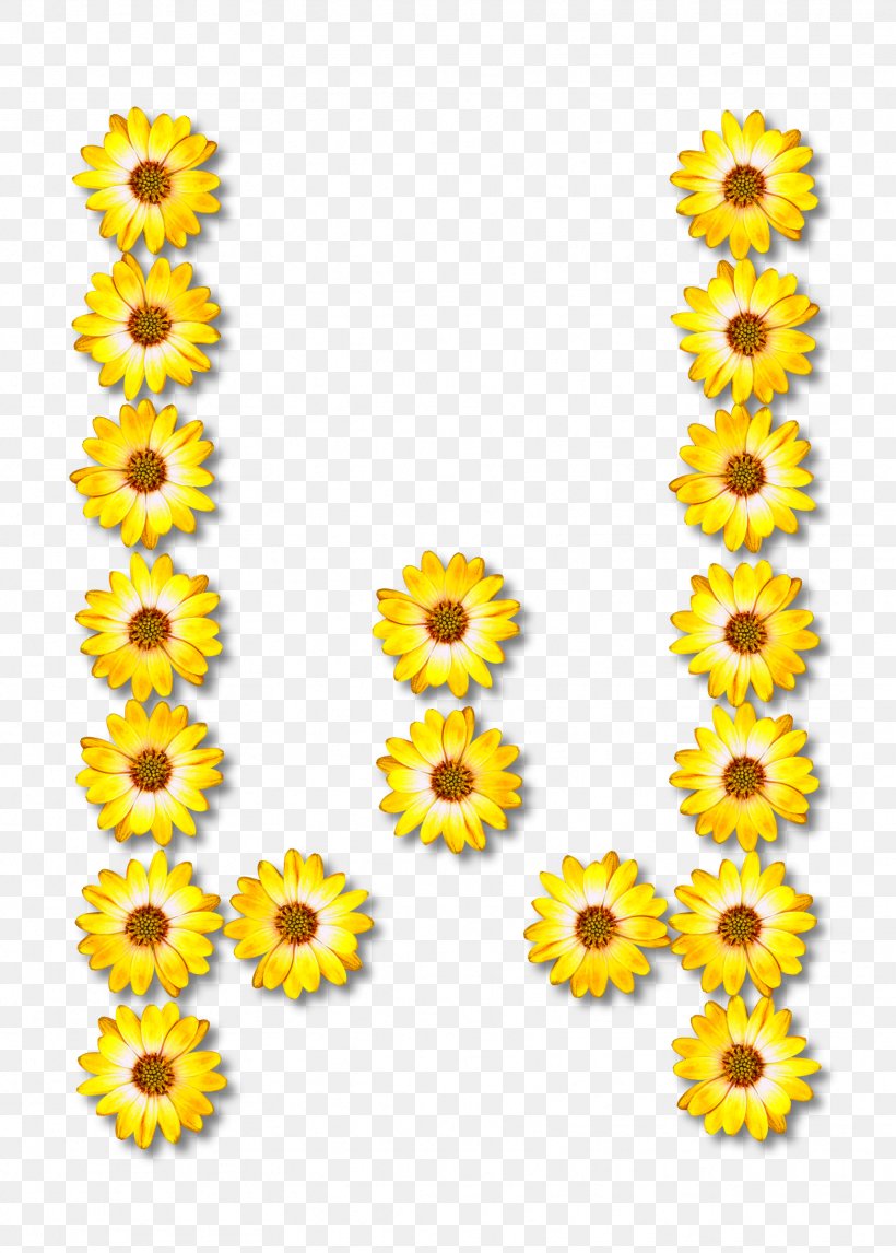 Common Sunflower Alphabet Letter, PNG, 1717x2400px, Common Sunflower, Alphabet, Cut Flowers, Daisy Family, Floral Design Download Free