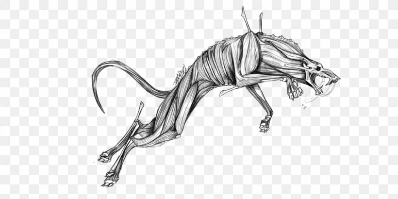 Mustang Line Art Canidae Sketch, PNG, 1024x512px, Mustang, Animal, Animal Figure, Artwork, Black And White Download Free