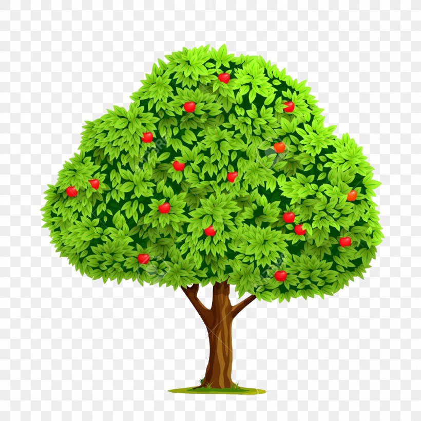 Vector Graphics Apple Illustration Stock Photography Royalty-free, PNG, 1300x1300px, Apple, Arbor Day, Drawing, Evergreen, Flower Download Free