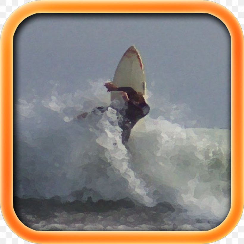 Boardsport Surfboard Surfing Extreme Sport, PNG, 1024x1024px, Boardsport, Extreme Sport, Sky, Sky Plc, Sport Download Free