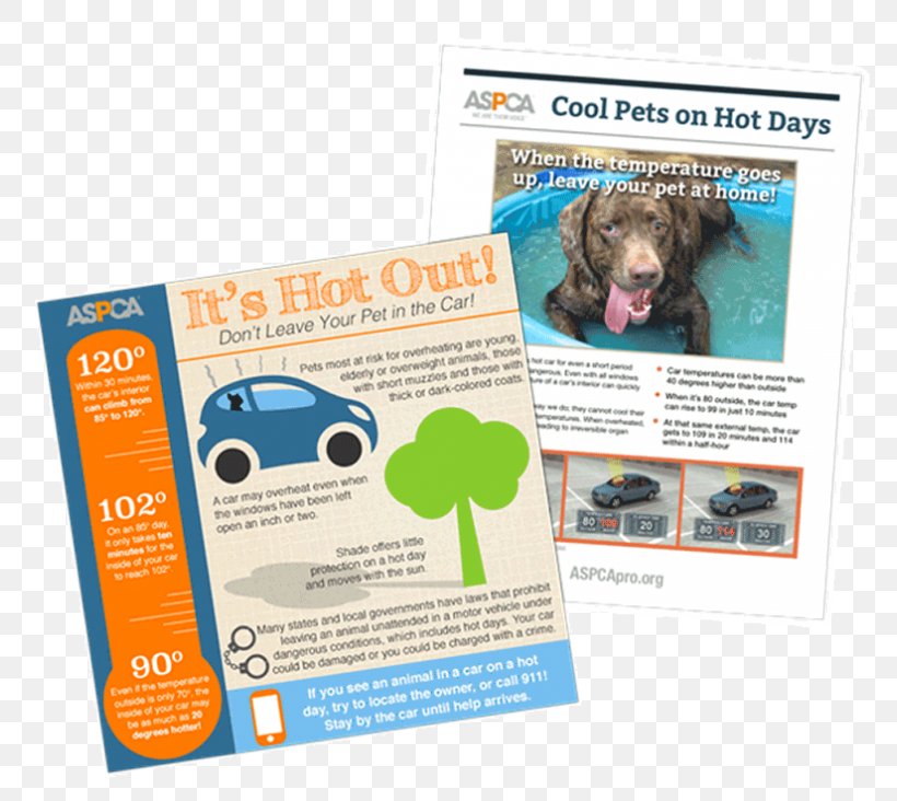 Dog American Society For The Prevention Of Cruelty To Animals Pet Animal Shelter Information, PNG, 784x732px, Dog, Advertising, Animal Shelter, Brand, Brochure Download Free