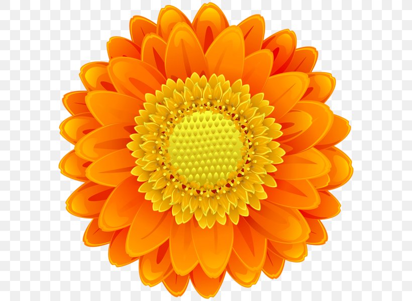 Drawing Of Family, PNG, 596x600px, Drawing, Barberton Daisy, Cartoon, Common Sunflower, Cut Flowers Download Free