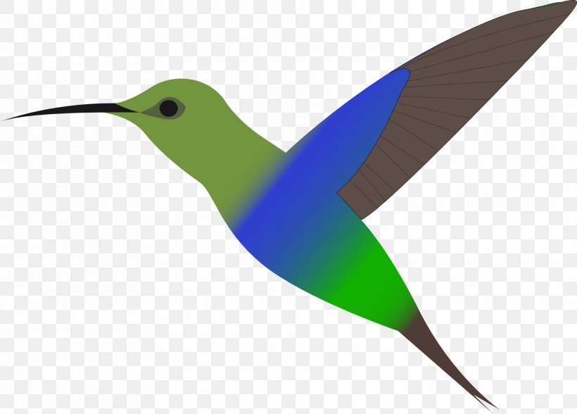 Hummingbird Clip Art, PNG, 1920x1379px, Hummingbird, Beak, Bird, Drawing, Fauna Download Free