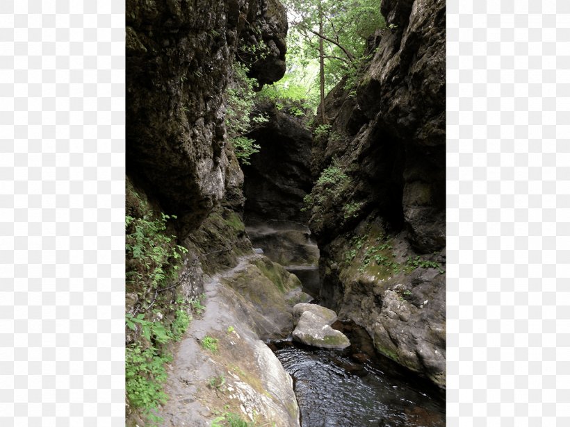 Nature Reserve Outcrop Water Resources Rainforest Vegetation, PNG, 1200x900px, Nature Reserve, Arroyo, Bedrock, Canyon, Creek Download Free