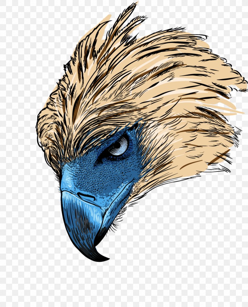 Philippines Philippine Eagle Bald Eagle Bird Of Prey, PNG, 882x1094px, Philippines, Bald Eagle, Beak, Bird, Bird Of Prey Download Free