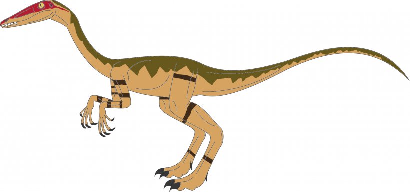 Tyrannosaurus Coelophysis Velociraptor Spinosaurus Cryptoclidus, PNG, 2267x1066px, Tyrannosaurus, Animal Figure, Art, Beak, Camarasaurus Download Free