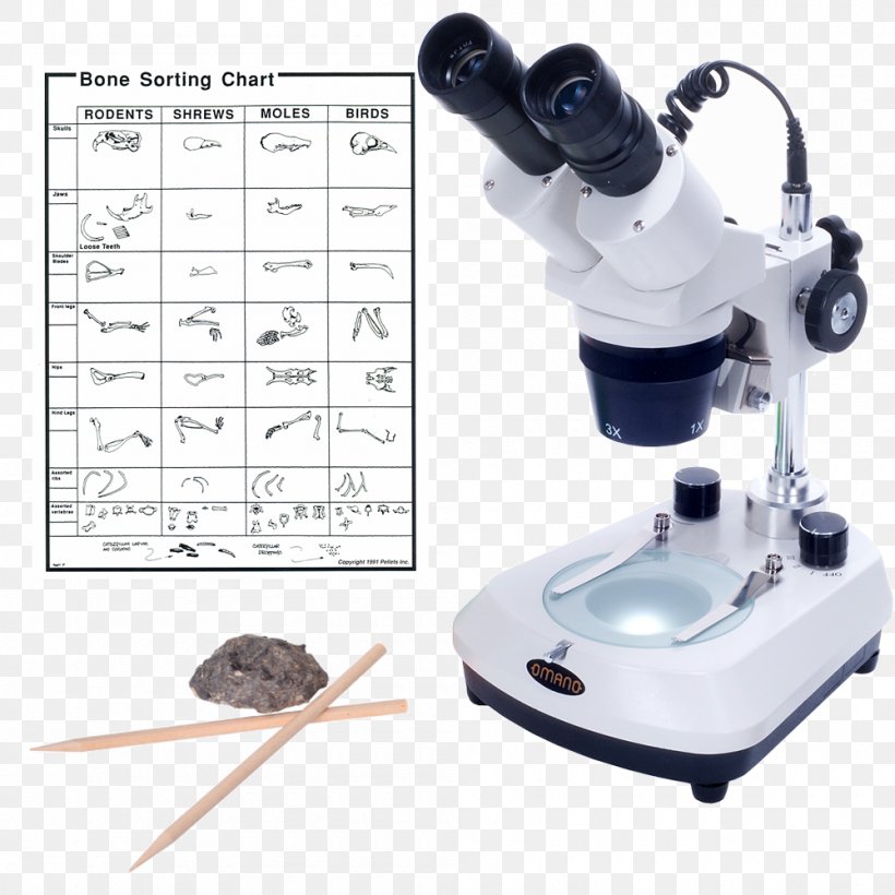 Optical Microscope Optics Student Stereo Microscope, PNG, 1000x1000px, Microscope, Biology, Laboratory, Light, Optical Instrument Download Free