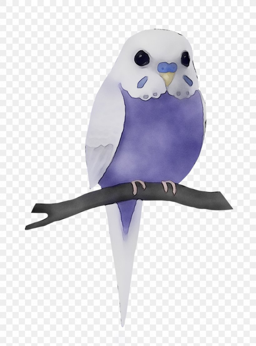 Owl Pet Beak Feather Parakeet, PNG, 860x1164px, Owl, Beak, Bird, Budgie, Feather Download Free