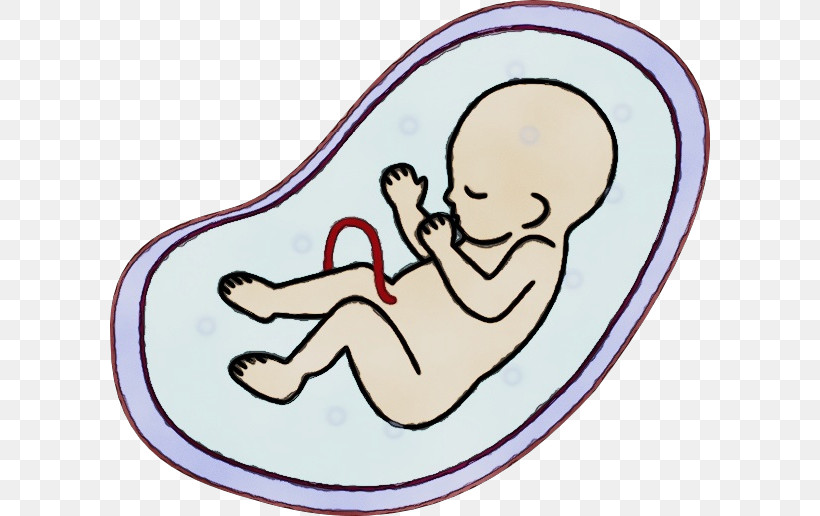 Kuchař Pavel Mudr. Gynekolog Royalty-free Fetus Uterus, PNG, 600x516px, Watercolor, Drawing, Embryo, Fetus, Paint Download Free