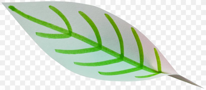 Leaf, PNG, 1280x560px, Leaf, Green, Plant Download Free