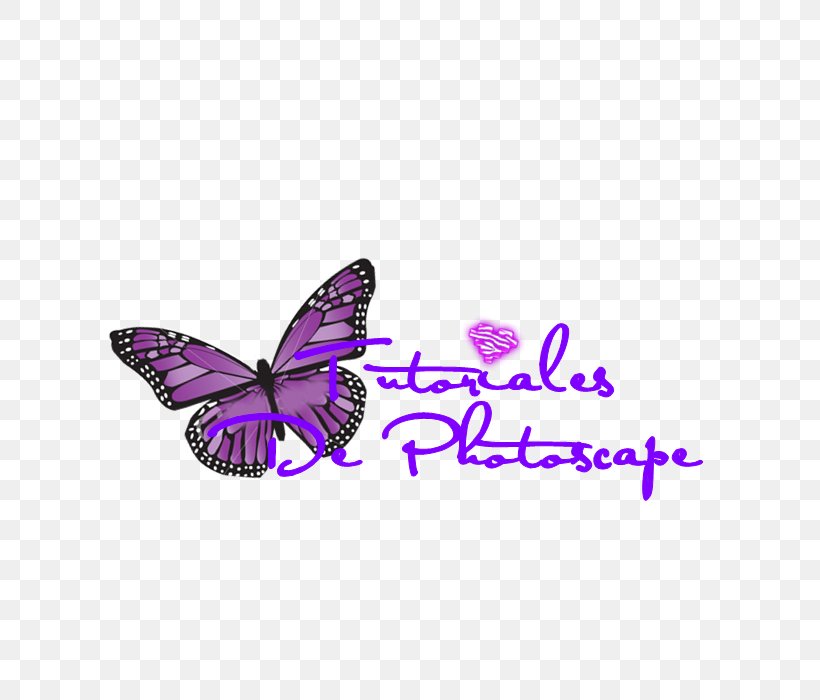 PhotoScape Clip Art Text Image, PNG, 700x700px, Photoscape, Brush Footed Butterfly, Butterfly, Editing, Information Download Free