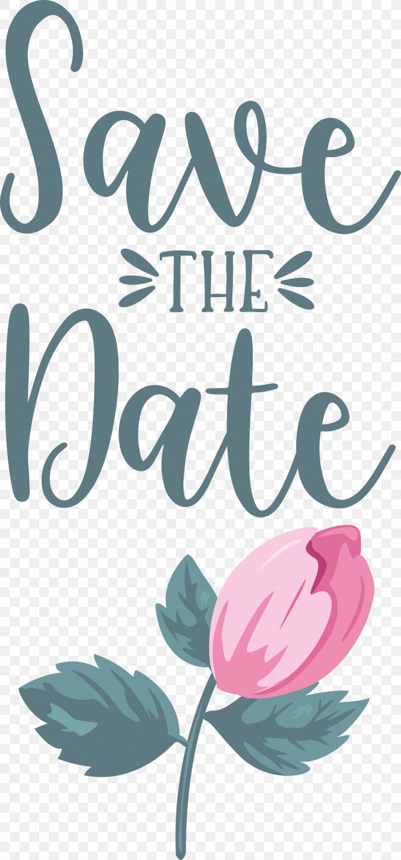 Save The Date Wedding, PNG, 1399x2999px, Save The Date, Biology, Floral Design, Flower, Happiness Download Free