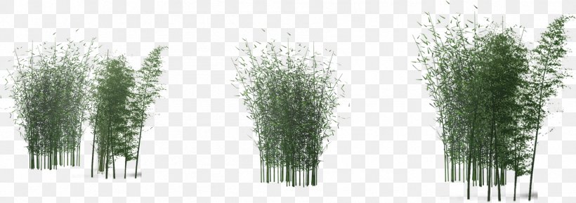Bamboo Green Clip Art, PNG, 1801x635px, Bamboo, Designer, Evergreen, Flowerpot, Grass Download Free
