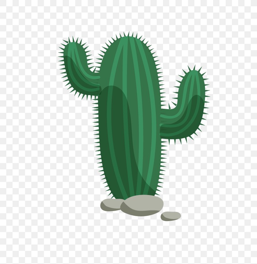 Cactaceae Flat Design, PNG, 595x842px, Cactaceae, Cactus, Desert, Designer, Erg Download Free