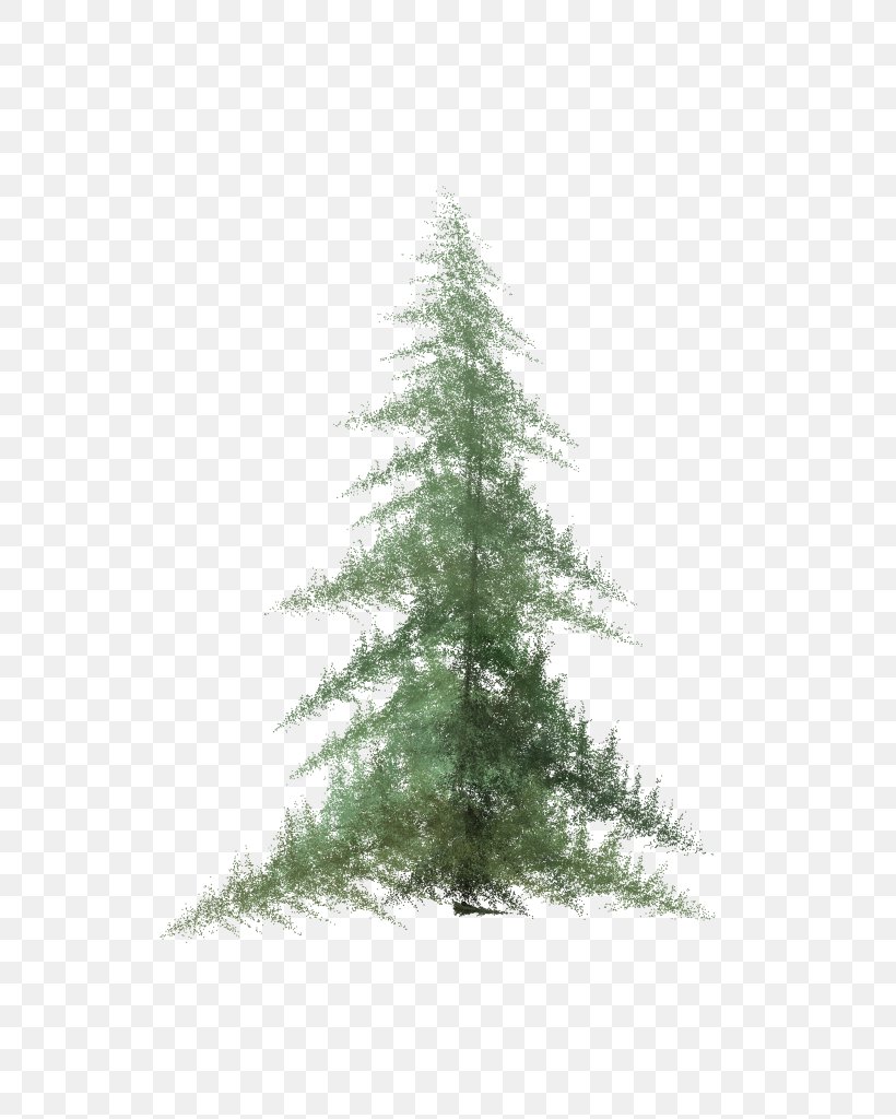 Pine Spruce Fir Tree, PNG, 768x1024px, Pine, Biome, Christmas Decoration, Christmas Ornament, Christmas Tree Download Free