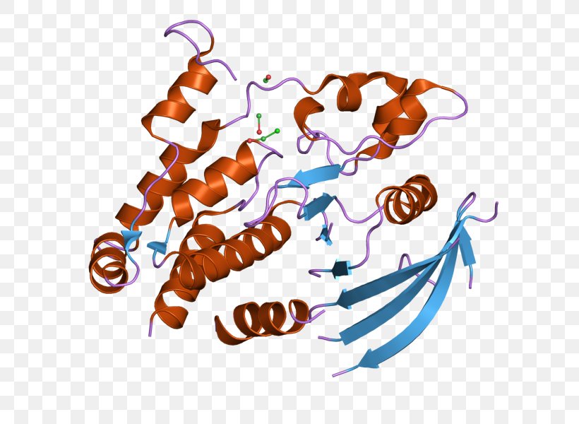 PTPRJ Protein Tyrosine Phosphatase Receptor Tyrosine Phosphatase Cdc25, PNG, 800x600px, Watercolor, Cartoon, Flower, Frame, Heart Download Free
