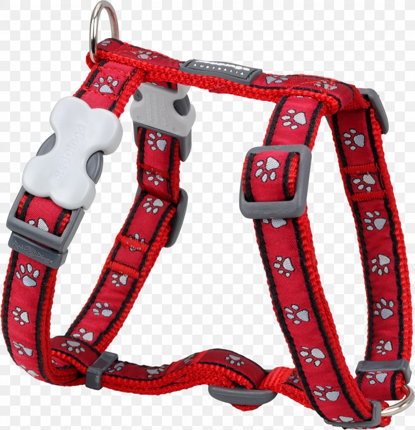 Dog Harness Dingo Puppy Dog Collar, PNG, 3000x3105px, Dog, Collar, Dingo, Dog Collar, Dog Food Download Free