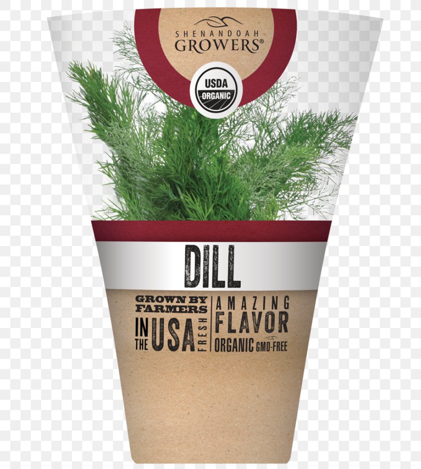 Herb Flowerpot Dill, PNG, 768x915px, Herb, Dill, Flavor, Flowerpot, Grass Download Free