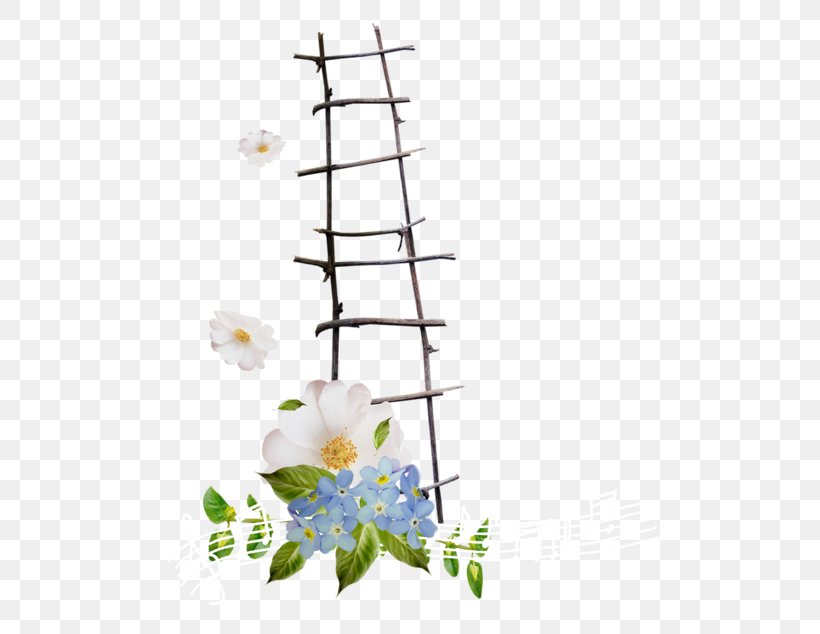 Ladder, PNG, 539x634px, Ladder, Branch, Flora, Floral Design, Flower Download Free