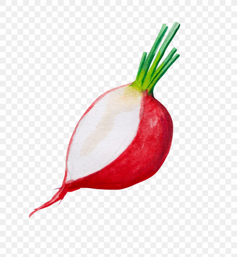 Red Onion Ingredient, PNG, 2300x2500px, Onion, Allium Fistulosum, Beetroot, Food, Fruit Download Free