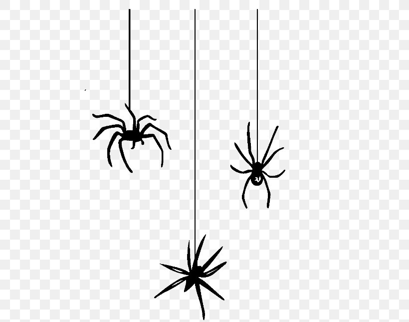 Spider Web Halloween Spider-Man Clip Art, PNG, 480x645px, Spider, Arachnid, Arthropod, Black And White, Black House Spider Download Free
