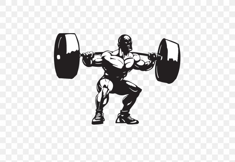Weight Training Olympic Weightlifting Squat Exercise Fitness Centre, PNG, 1846x1275px, Weight Training, Arm, Barbell, Bench Press, Black And White Download Free