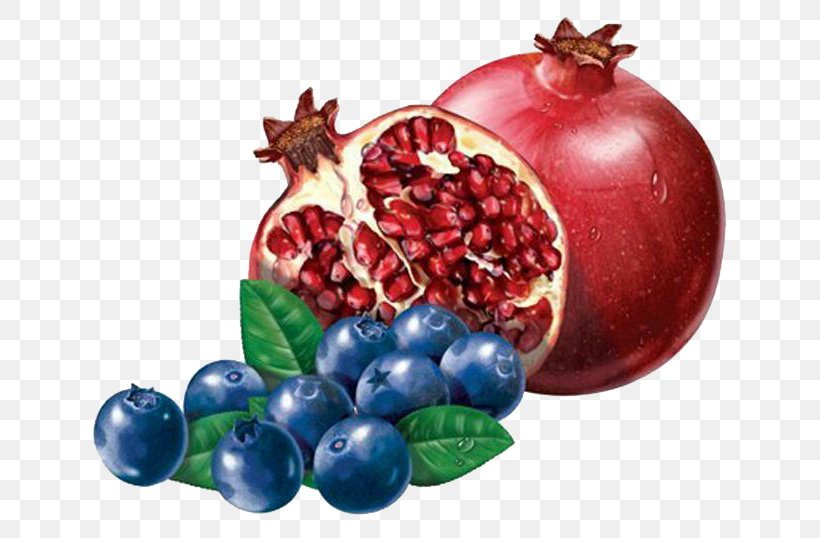 Cranberry Frutti Di Bosco Pomegranate Fruit Illustration, PNG, 700x538px, Cranberry, Berry, Blueberry, Food, Fruit Download Free