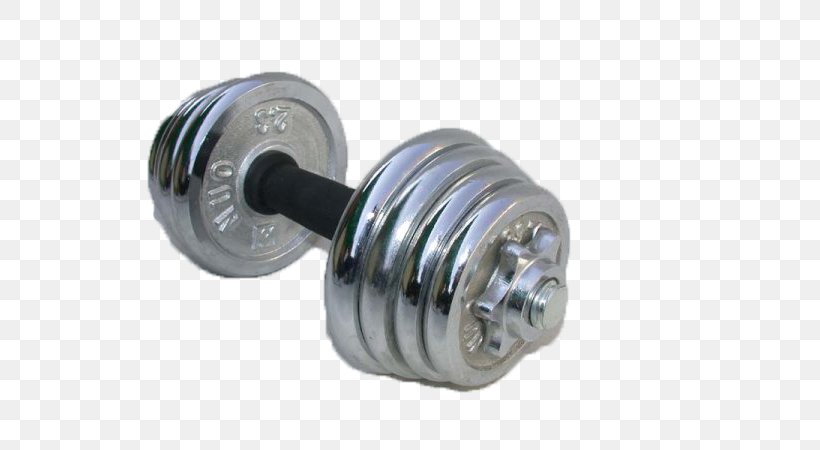 Dumbbell Barbell Weight Training Physical Exercise Sports Equipment, PNG, 600x450px, Dumbbell, Barbell, Bench Press, Exercise Equipment, Olympic Weightlifting Download Free