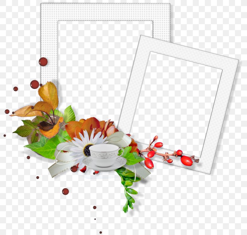 Picture Frames MOEBE Frame Image Email Photography, PNG, 800x779px, Picture Frames, Animation, Christmas Decoration, Email, Holly Download Free