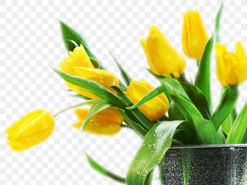 Tulip Flower Bouquet Desktop Wallpaper Yellow, PNG, 1024x768px, Tulip, Blue, Color, Cut Flowers, Floral Design Download Free