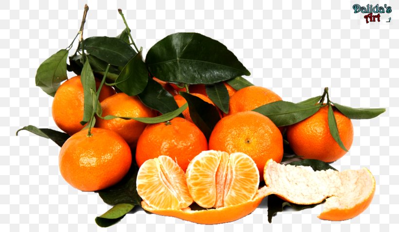 Clementine Mandarin Orange Tangerine Satsuma Mandarin Juice, PNG, 800x477px, Clementine, Bitter Orange, Calamondin, Chenpi, Citron Download Free