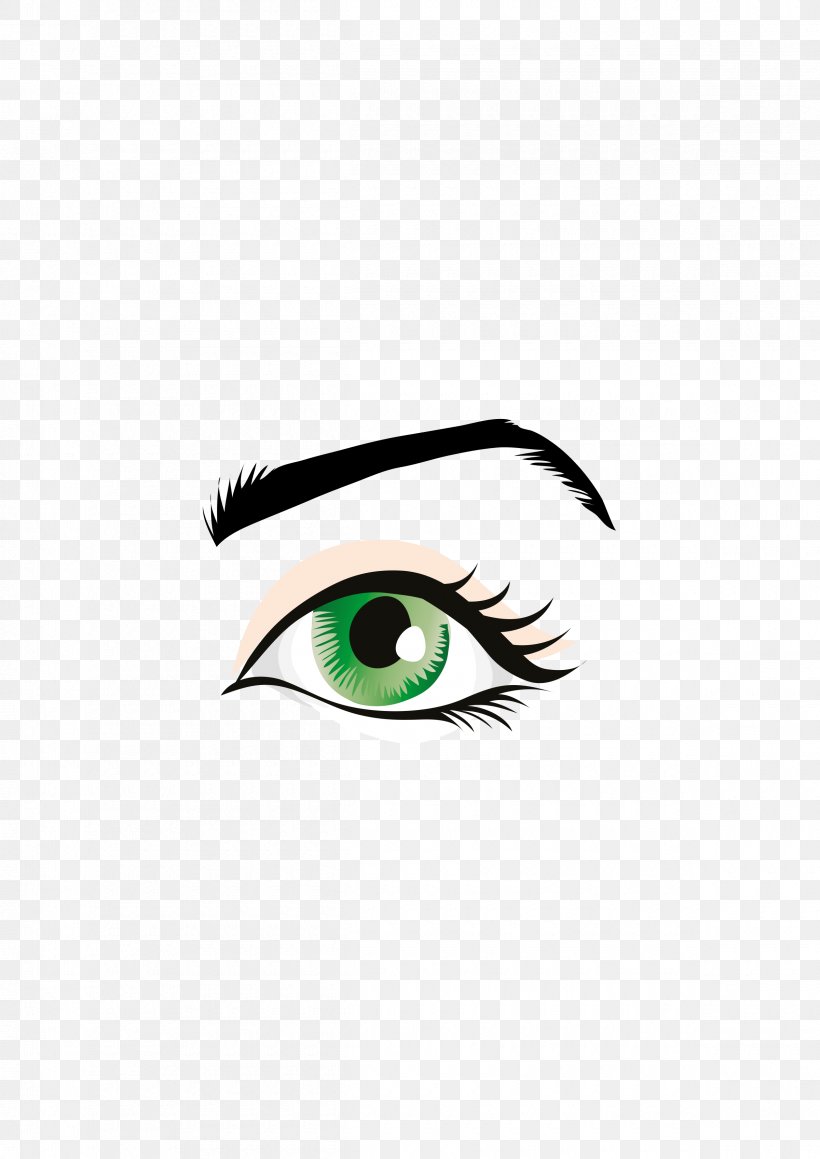 Eyebrow Eyelash Human Eye Clip Art, PNG, 2400x3394px, Watercolor, Cartoon, Flower, Frame, Heart Download Free