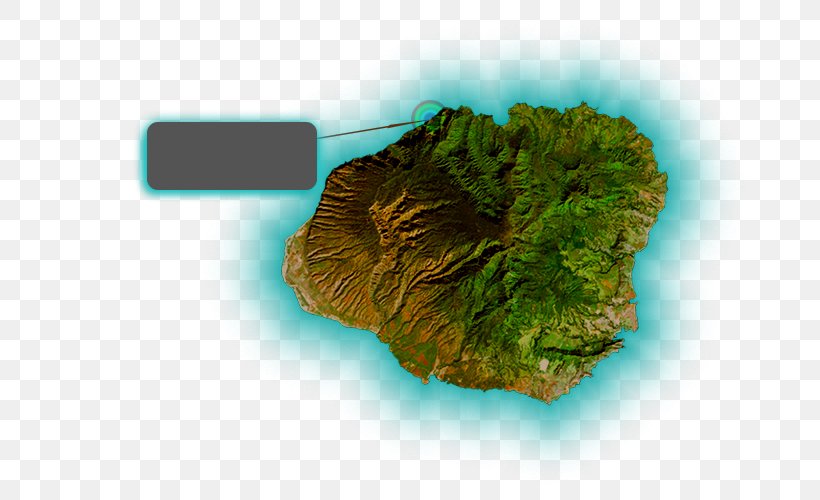 Kauai Topographic Map Organism Topography, PNG, 800x500px, Kauai, Map, Organism, Topographic Map, Topography Download Free