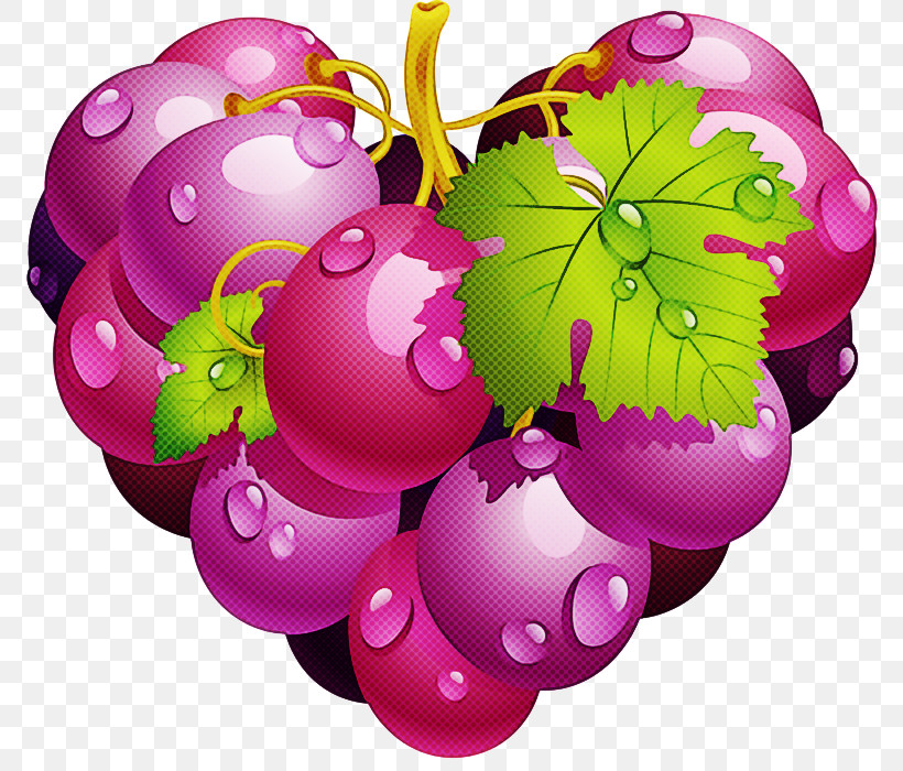 Purple Violet Pink Plant Magenta, PNG, 800x700px, Purple, Fruit, Grape, Grapevine Family, Magenta Download Free