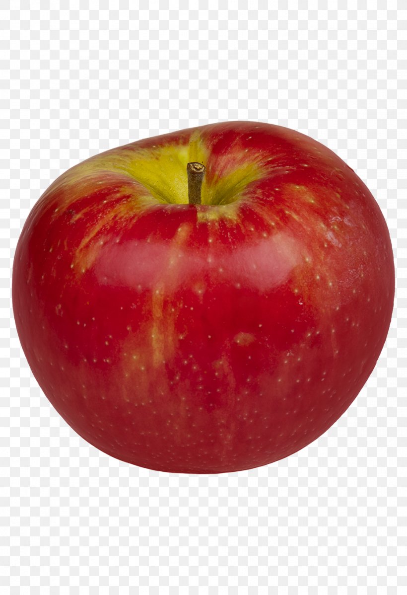 Caramel Apple Honeycrisp Fruit, PNG, 932x1362px, Caramel Apple, Apple, Apple A Day Keeps The Doctor Away, Apple Cider Vinegar, Crisp Download Free