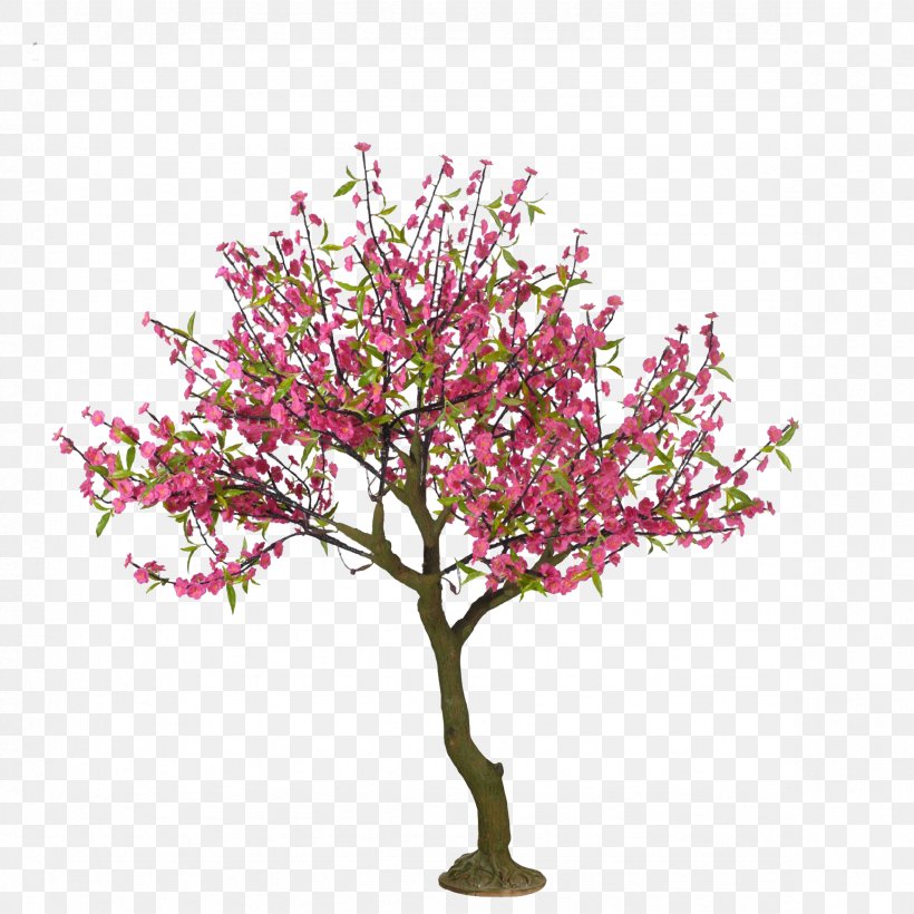 Cherry Blossom Tree Drawing Peach, PNG, 2362x2363px, Cherry Blossom, Blossom, Branch, Cartoon, Cherry Download Free
