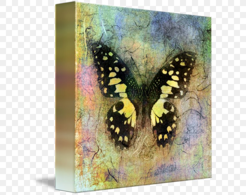 Gallery Wrap Canvas Print Painting Art, PNG, 606x650px, Gallery Wrap, Art, Artist, Brush Footed Butterfly, Butterfly Download Free